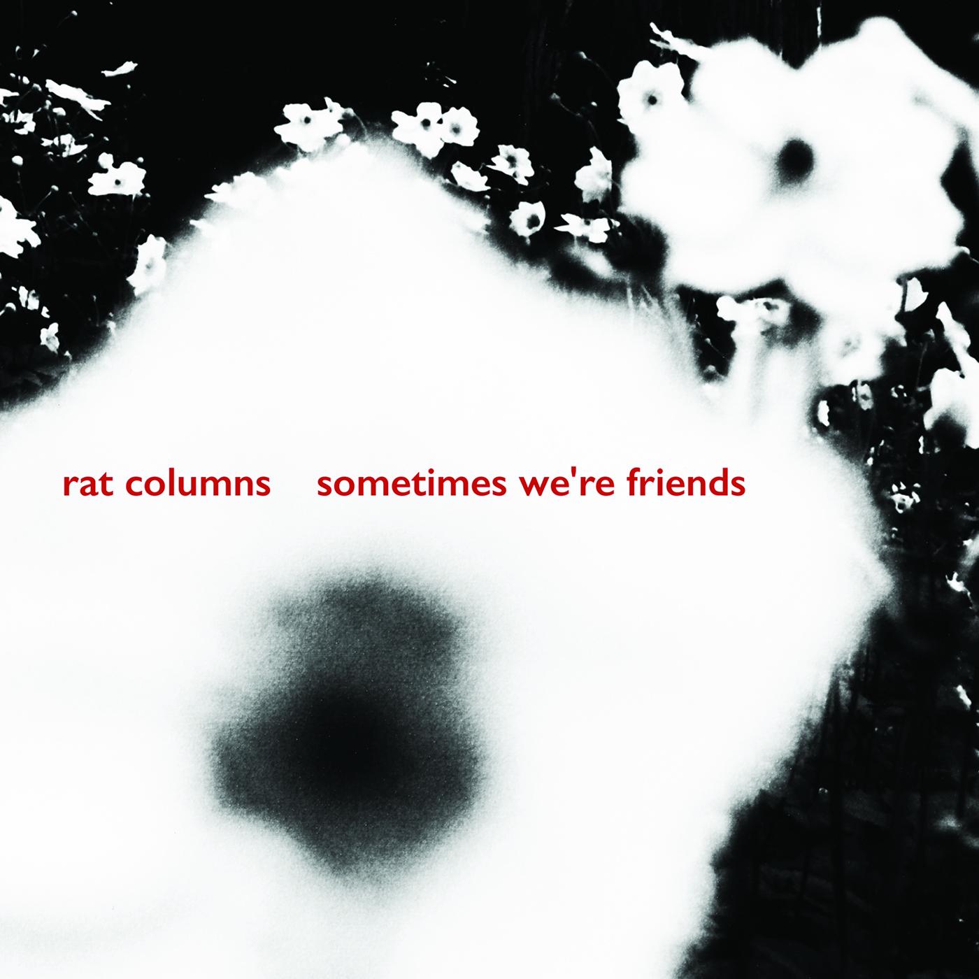 Rat Columns | Sometimes We're Friends | Vinyl