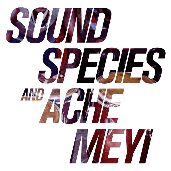 SOUNDSPECIES AND ACHE MEYI - Soundspecies And Ache Meyi | Vinyl