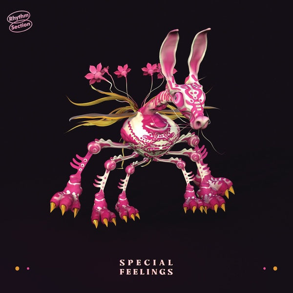 SPECIAL FEELINGS - Special Feelings | Vinyl