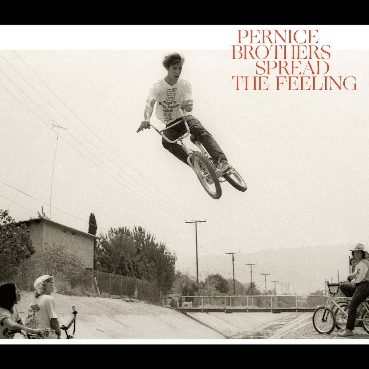 Pernice Brothers - Spread The Feeling | Vinyl