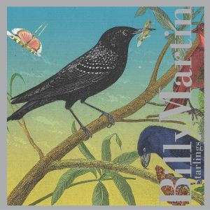 Billy Martin - Starlings | CD