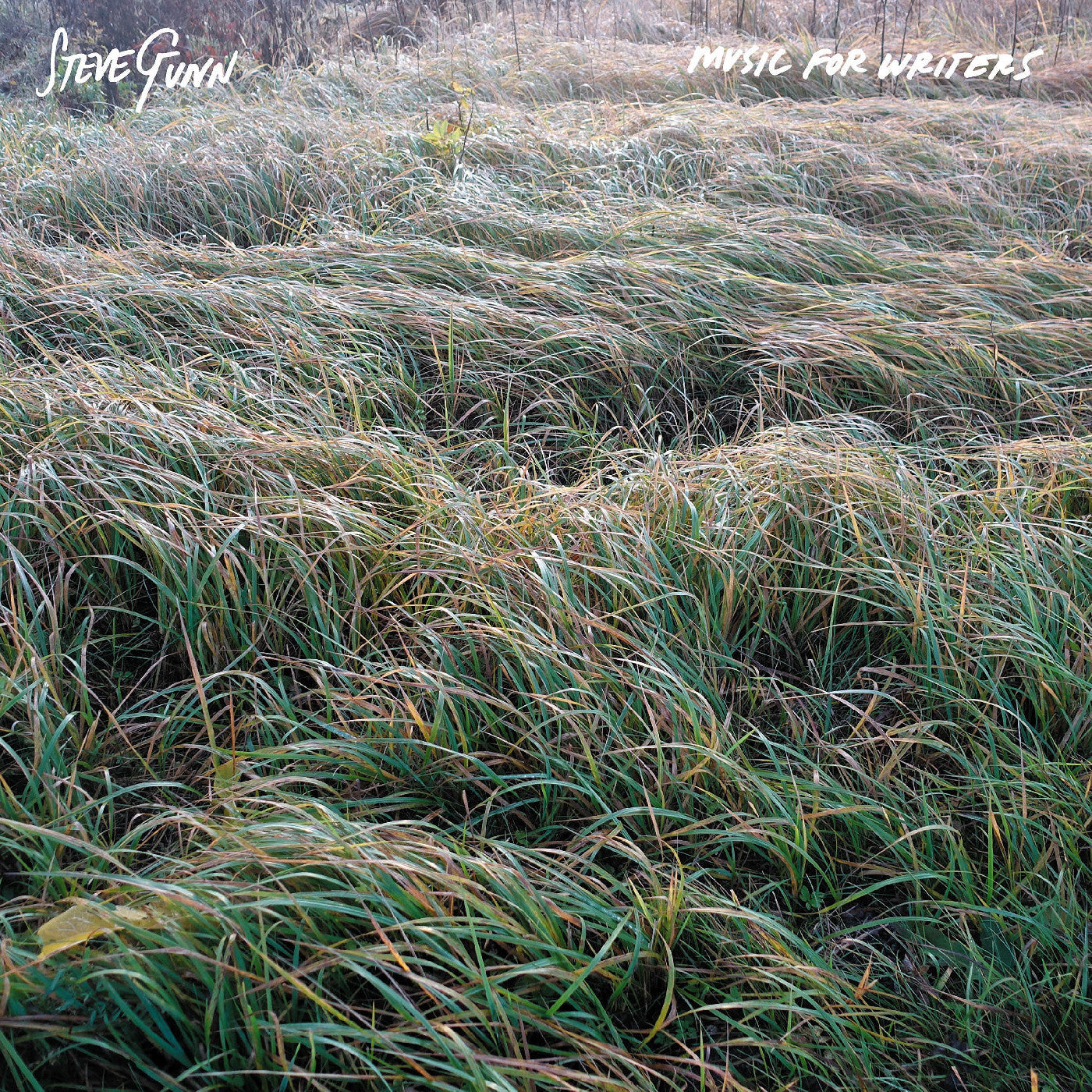 Steve Gunn - Music For Writers | CD