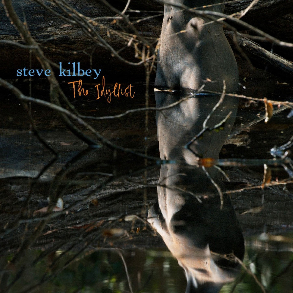 Steve Kilbey - The Idyllist [CD] | CD