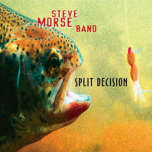 Steve Morse Band - Split Decision (Reissue) | CD
