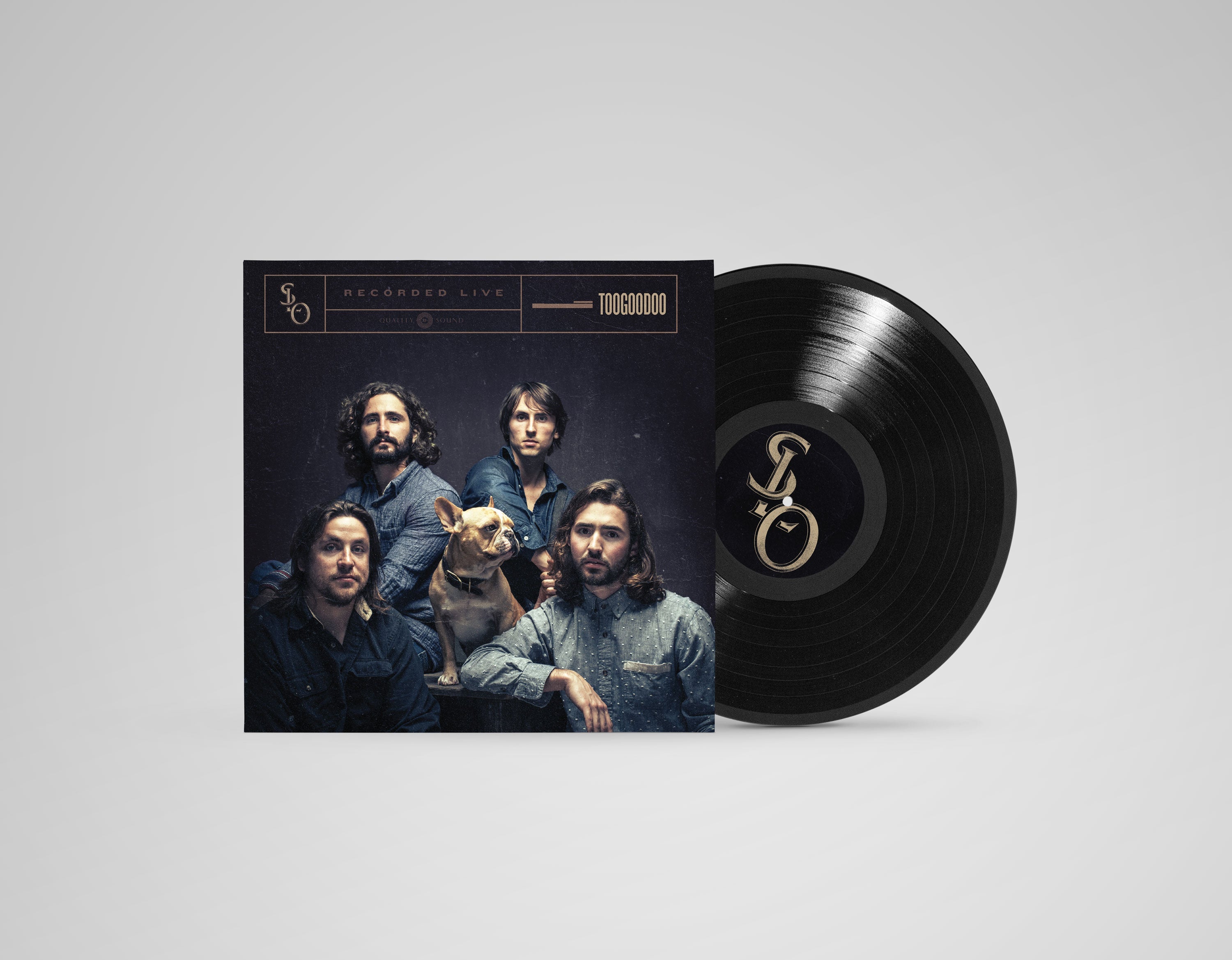 Stop Light Observations - TOOGOODOO | Vinyl