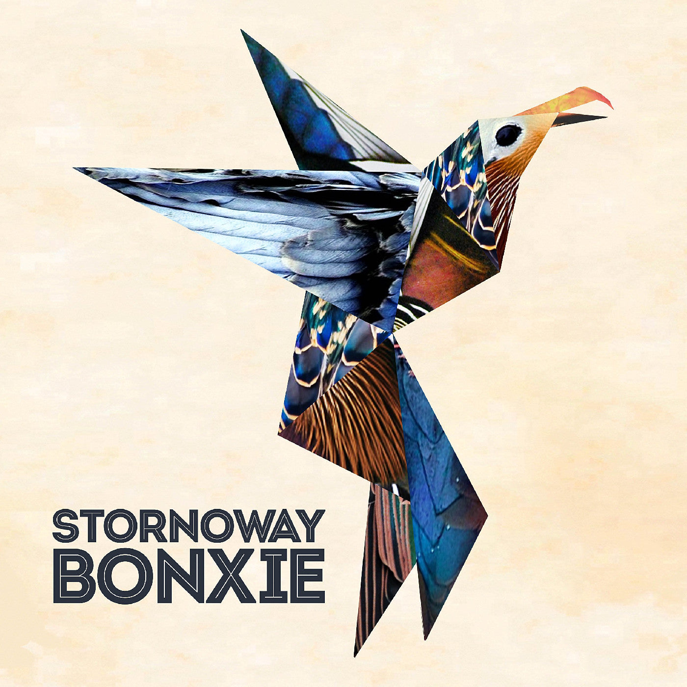 Stornoway - Bonxie | CD