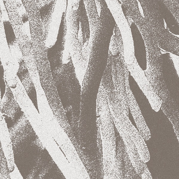 JW PATON - Structures | CD