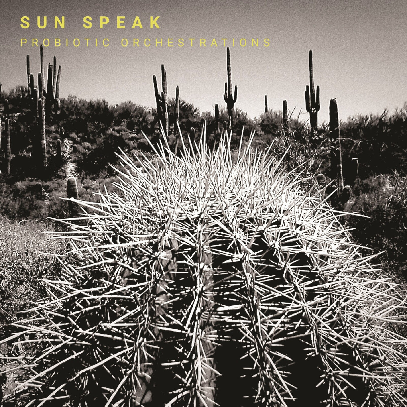 Sun Speak | Probiotic Orchestrations | CD