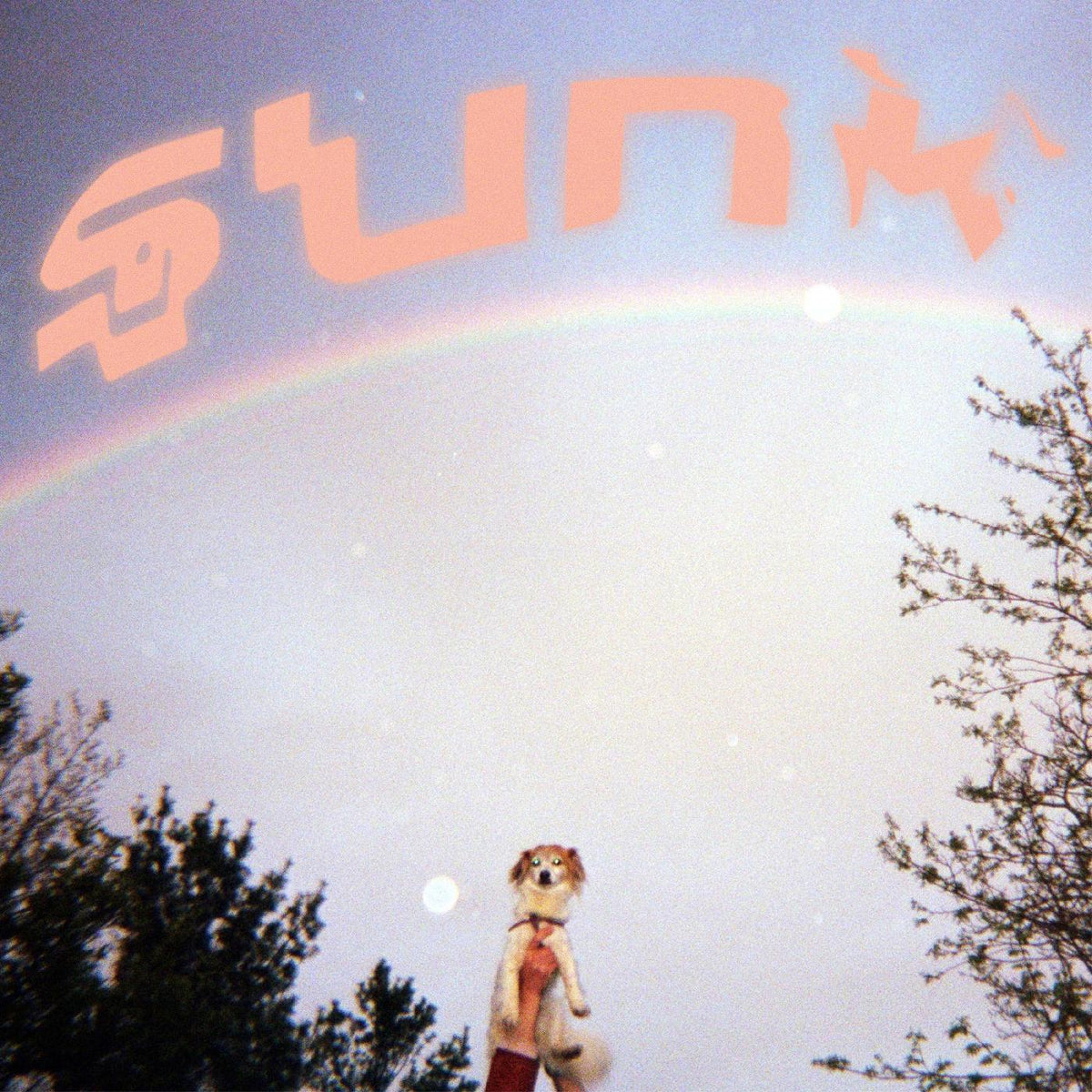 Babehoven - Sunk | CD