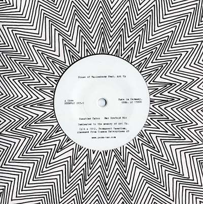 HOUSE OF WALLENBERG (FEAT. ARI UP) - Sunshine Taboo | Vinyl