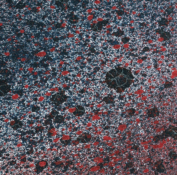 LEITMOTIV LIMBO - Superior State | Vinyl