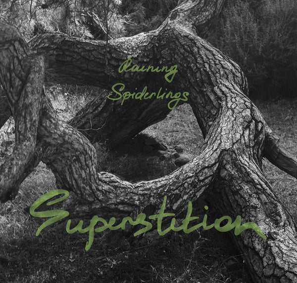 RAINING SPIDERLINGS - Superstition | CD