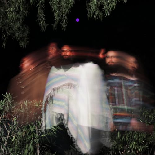 Surya Botofasina/Nate Mercereau/Carlos Niño - Subtle Movements [2 LP] | Vinyl