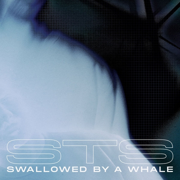 Sts | Swallowed By A Whale | Vinyl