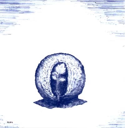 OLD SPLENDIFOLIA - Swaying Boldly Afar | CD