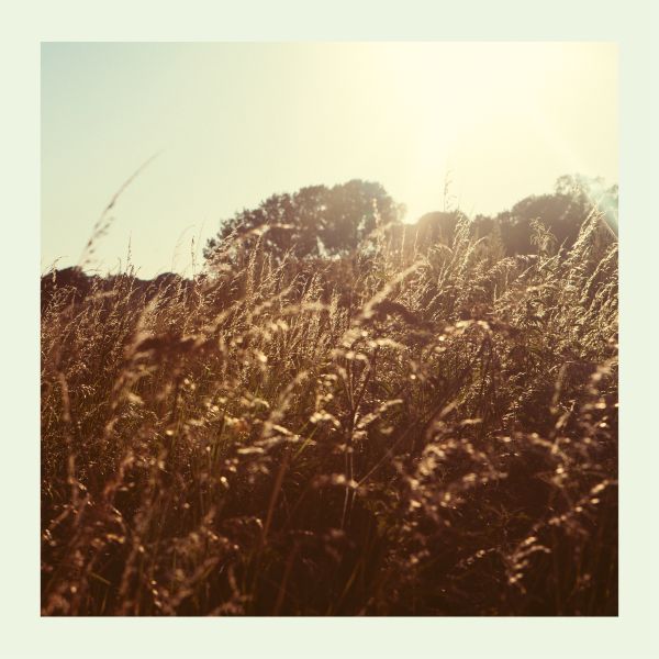 Marquis Hawkes - Sweet | Vinyl