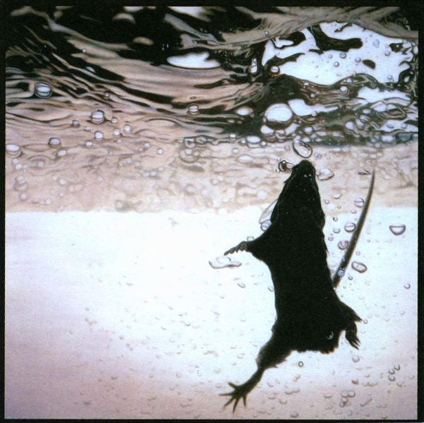 The Standard - Swimmer | CD