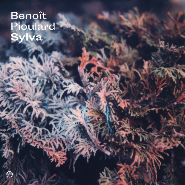 BENOIT PIOULARD - Sylva | CD