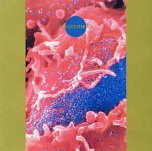 Death Ambient - Synaesthesia | CD