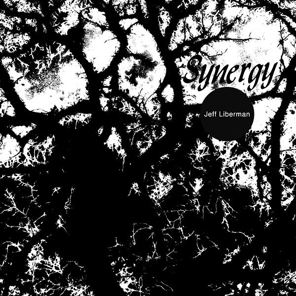 JEFF LIBERMAN - Synergy | Vinyl