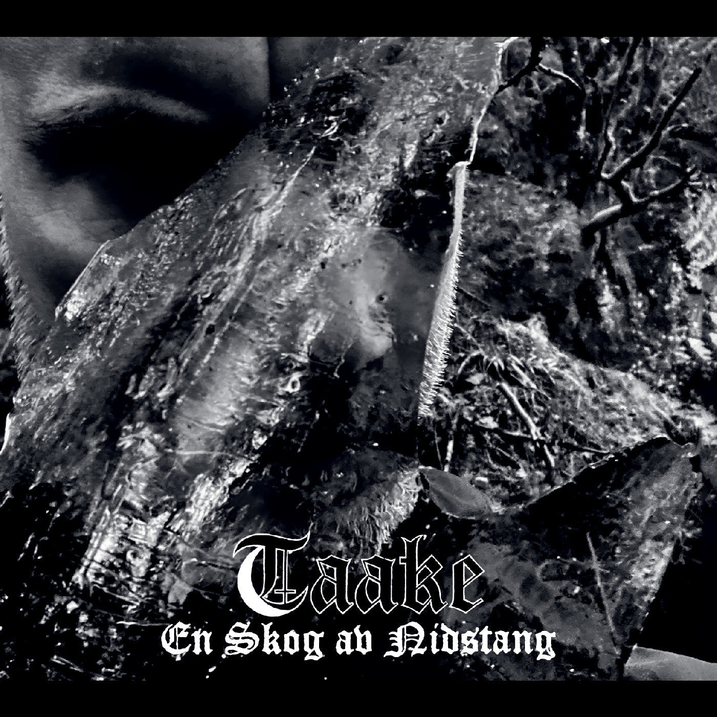 Taake - En Skog Av Nidstang | Vinyl