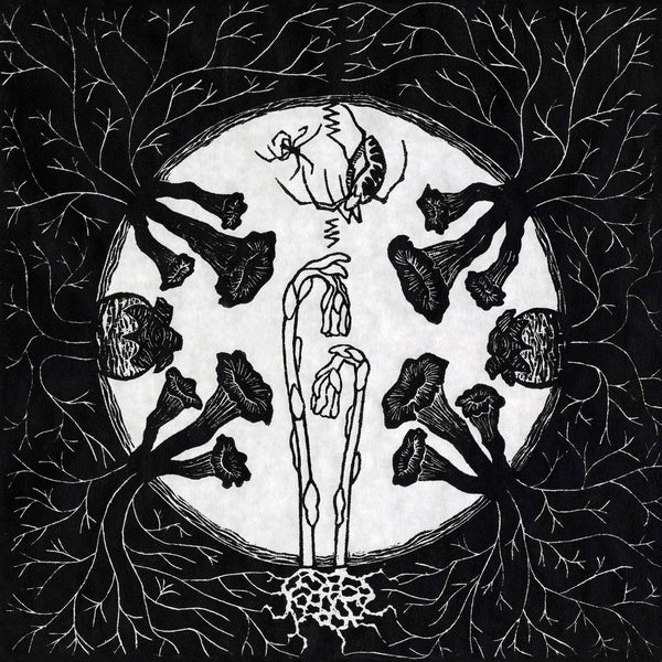 MAGIC TUBER STRINGBAND - Tarantism | Vinyl