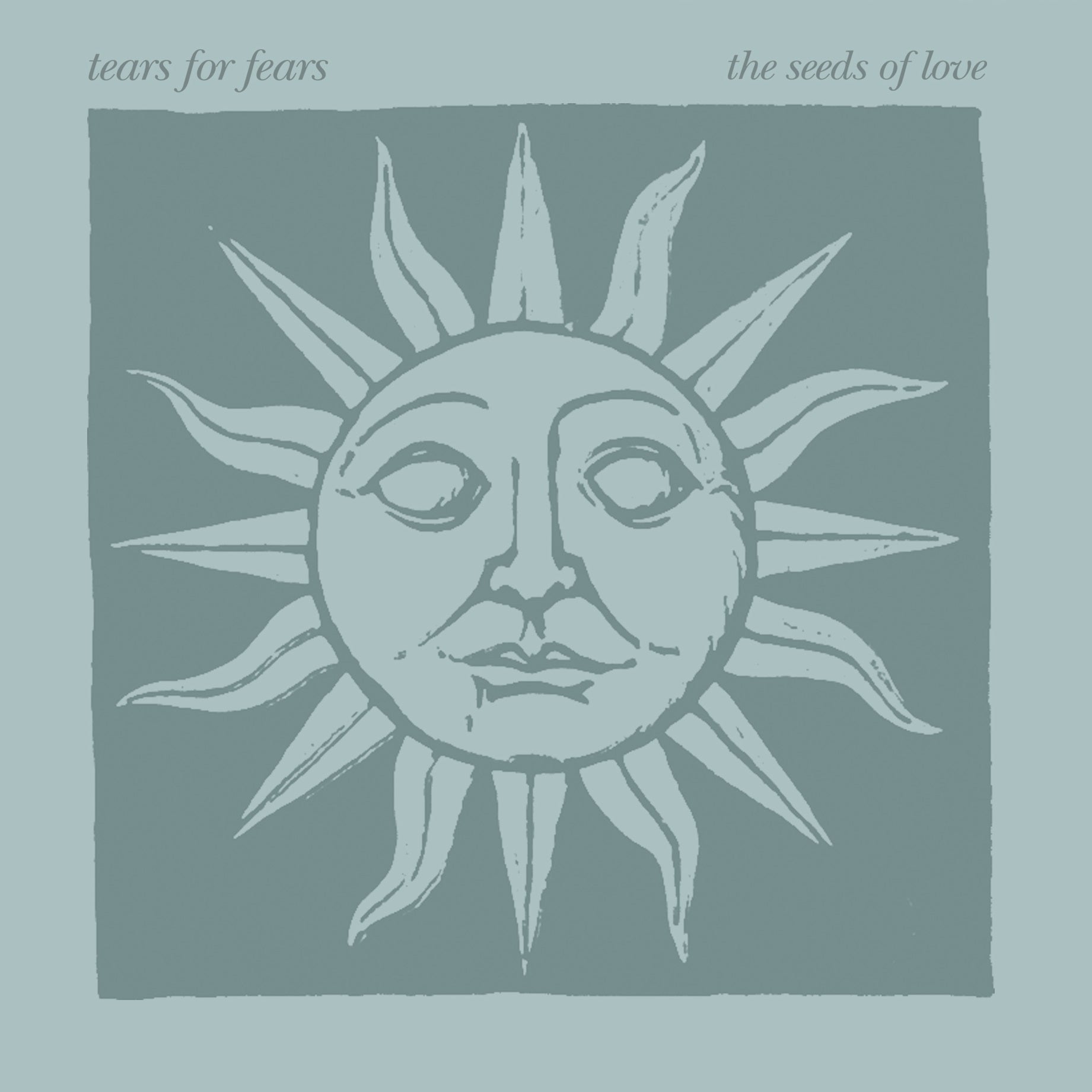 Tears For Fears - The Seeds Of Love (Deluxe Edition) [Blue Marble] [2LP] | Vinyl