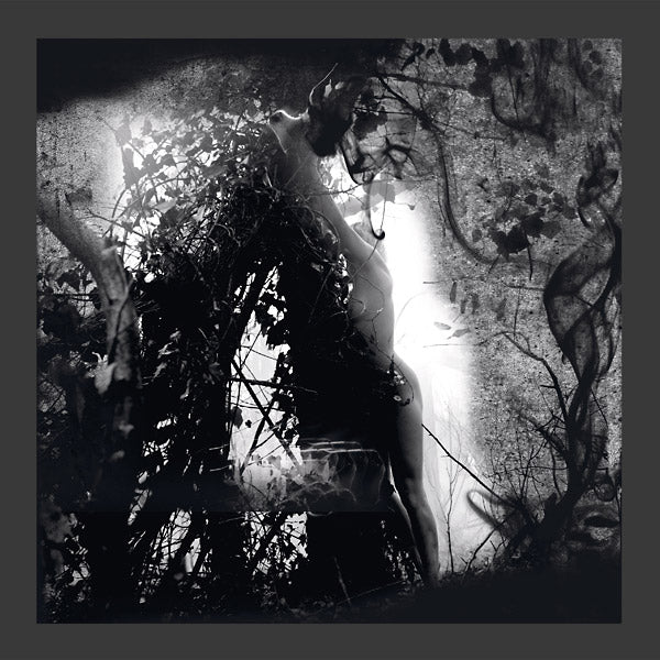 PISETZKY - Tears Of A Rough Machine | Vinyl