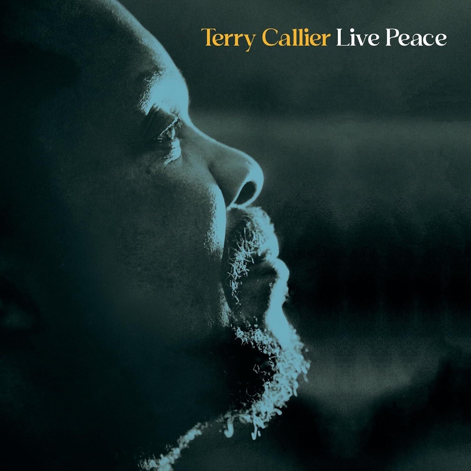 Terry Callier - Live Peace [2LP] | Vinyl