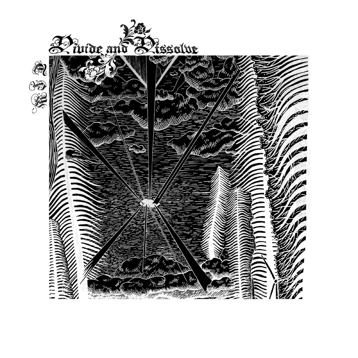 Divide and Dissolve - TFW | Vinyl