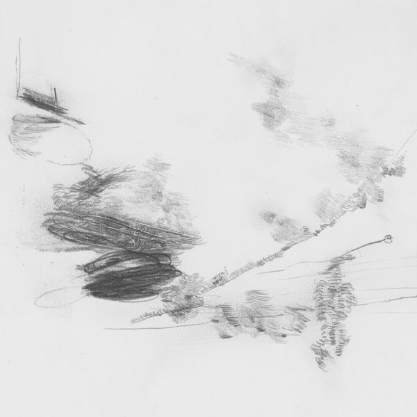 Perila | The Air Outside Feels Crazy Right Now | Vinyl