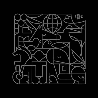 DOWNTOWN PARTY NETWORK - The Animal Planet | Vinyl