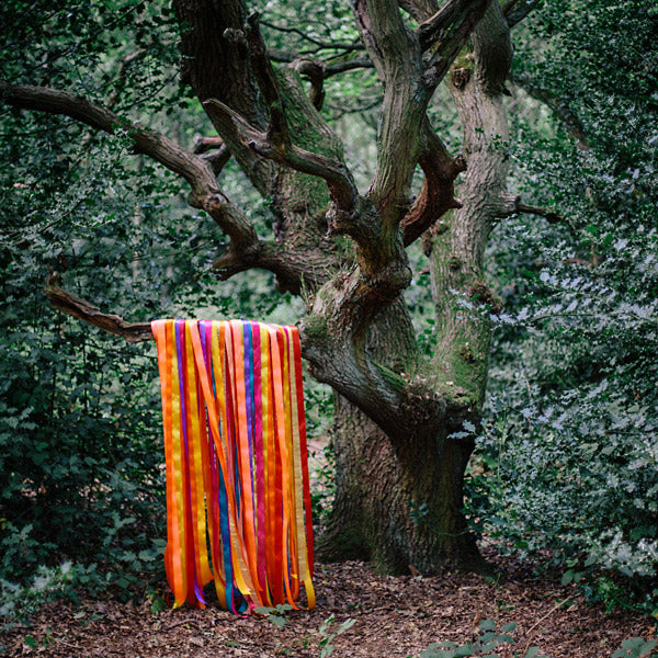 JAMES HOLDEN & THE ANIMAL SPIRITS - The Animal Spirits | CD