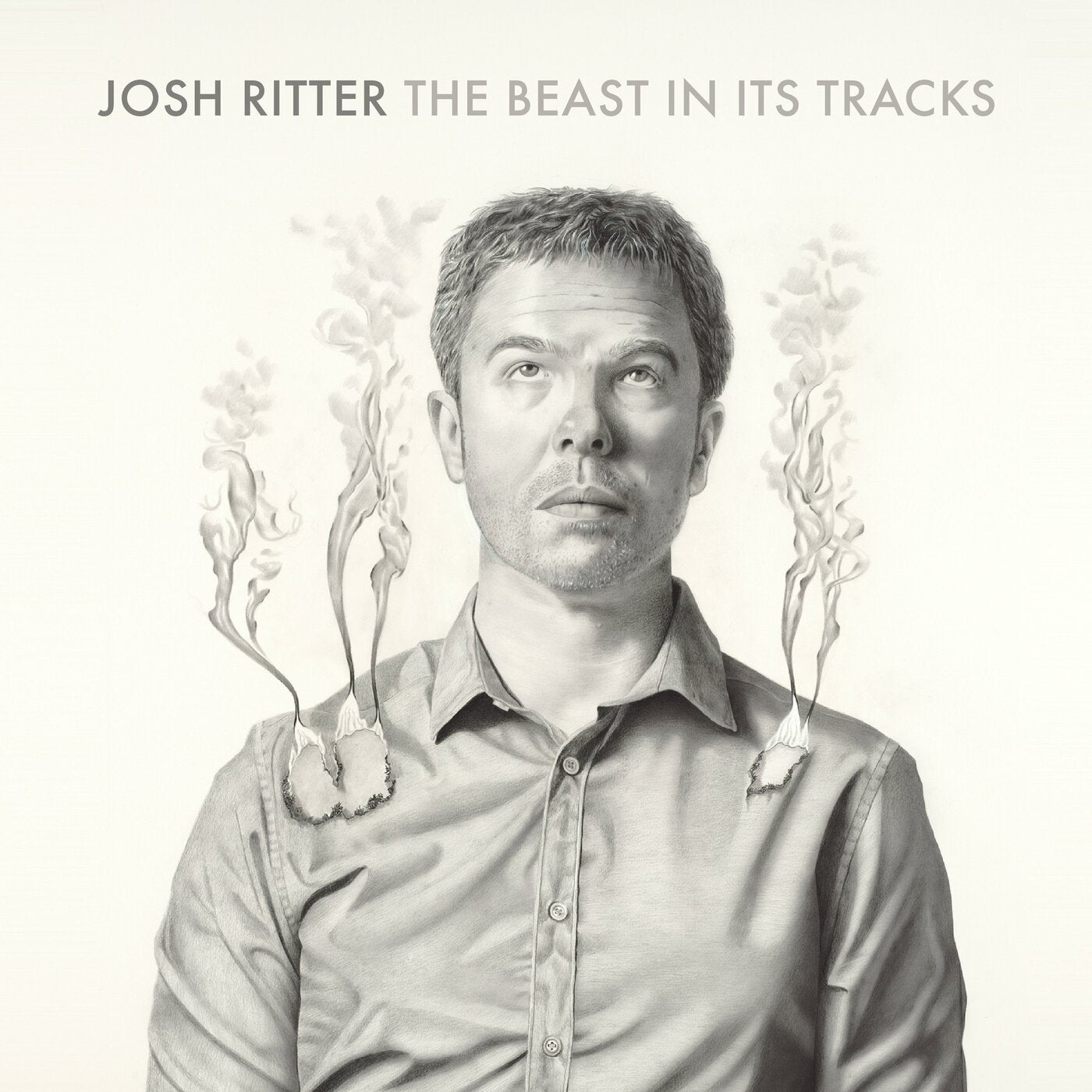 Josh Ritter | The Beast In Its Tracks | CD