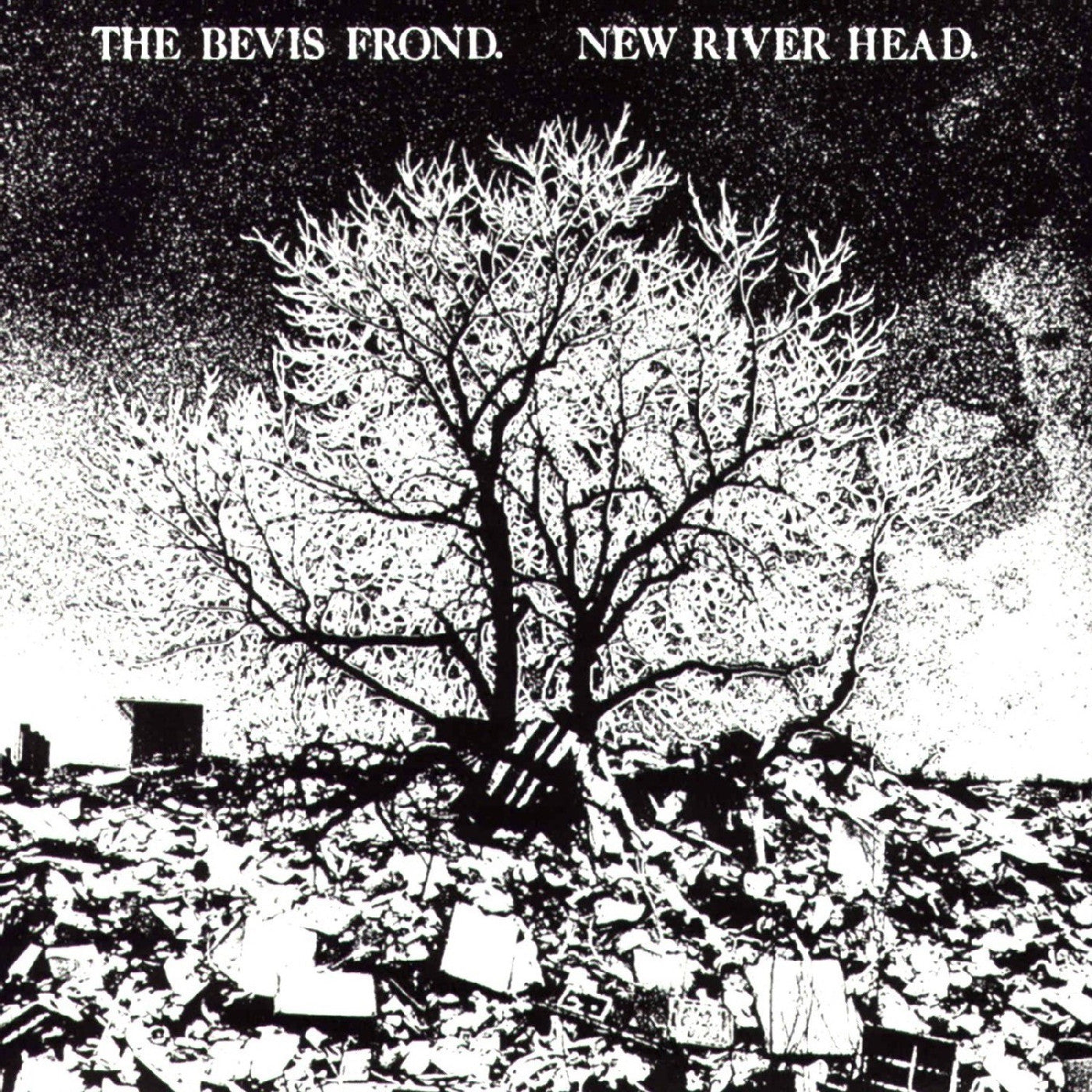 The Bevis Frond | New River Head | Vinyl