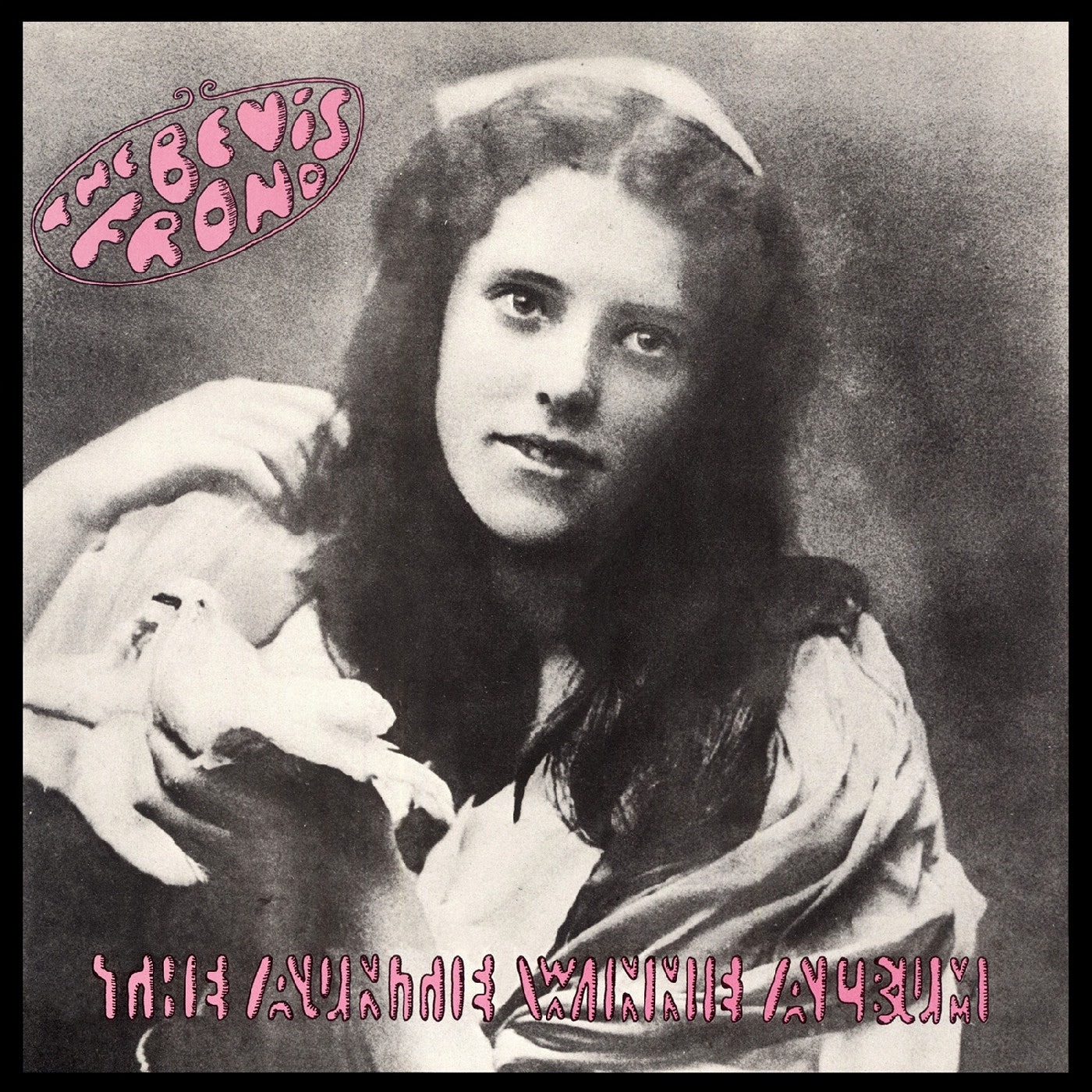 The Bevis Frond - The Auntie Winnie Album (Pink Vinyl) | Vinyl