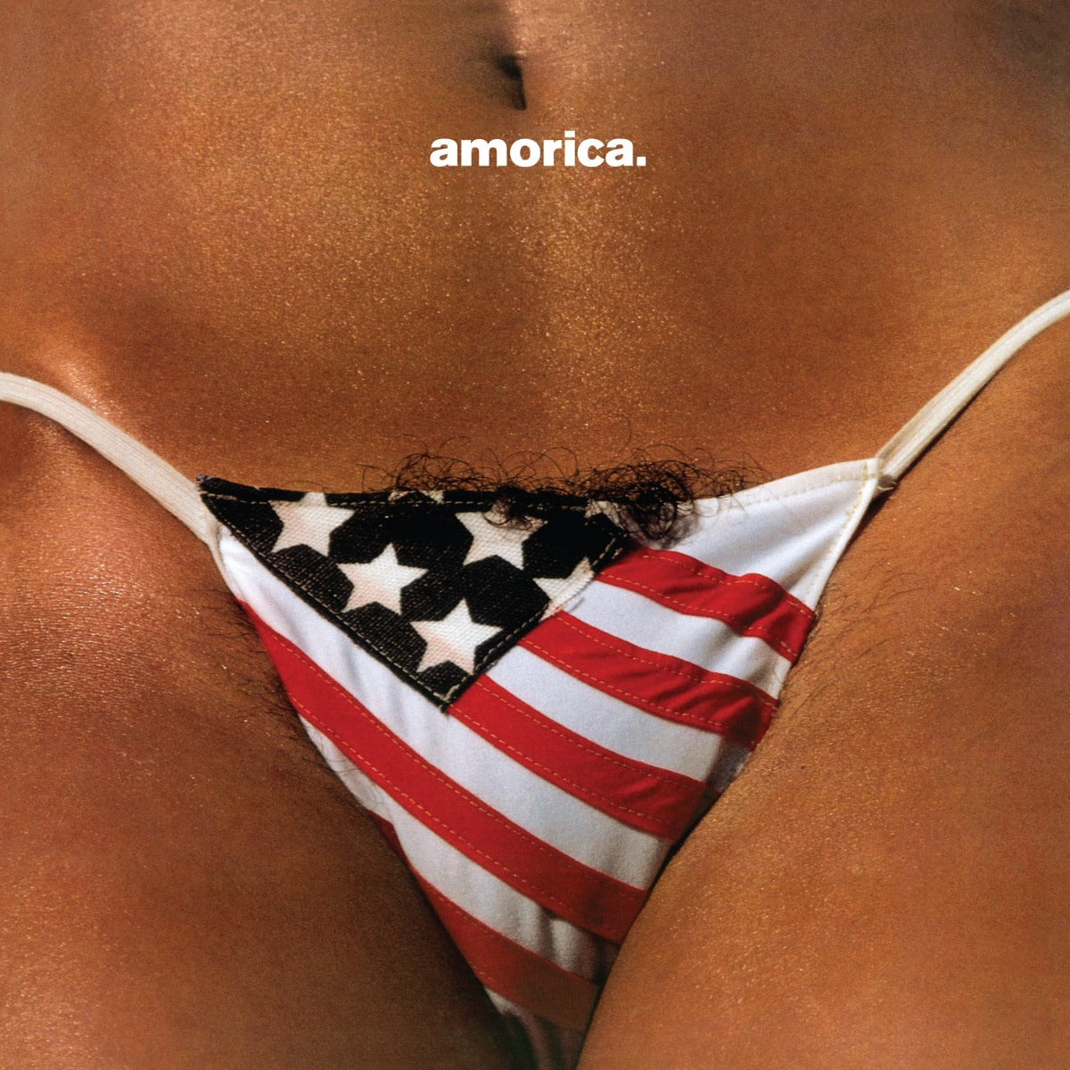 The Black Crowes | Amorica. [Super Deluxe 180G 5LP] | Vinyl