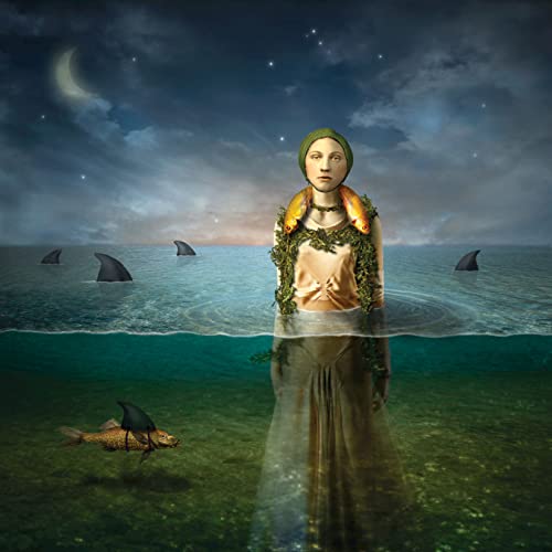 The Bled - Found in the Flood (Limited Edition) | Vinyl
