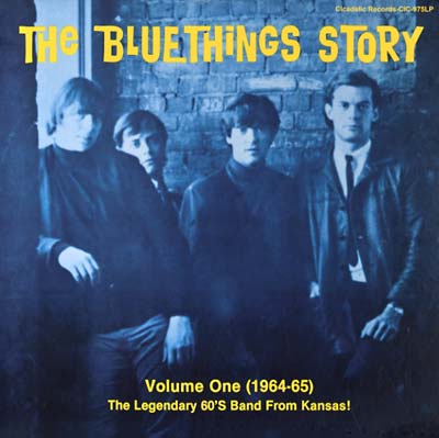 THE BLUE THINGS - The Blue Things Story Volume One | Vinyl