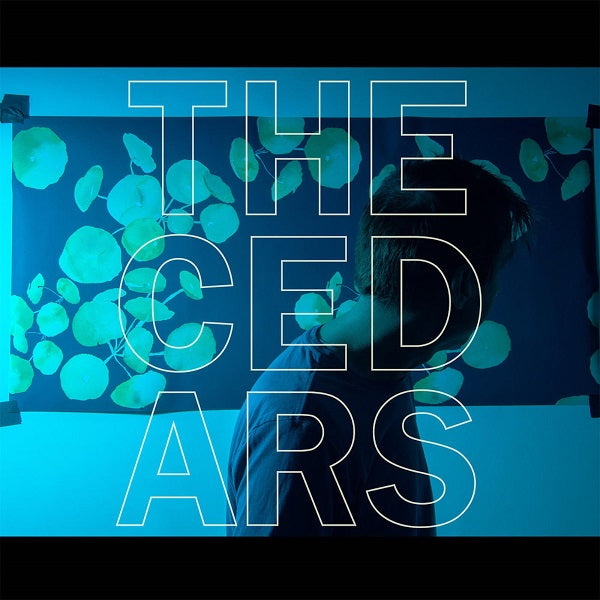 John Vanderslice - The Cedars | CD