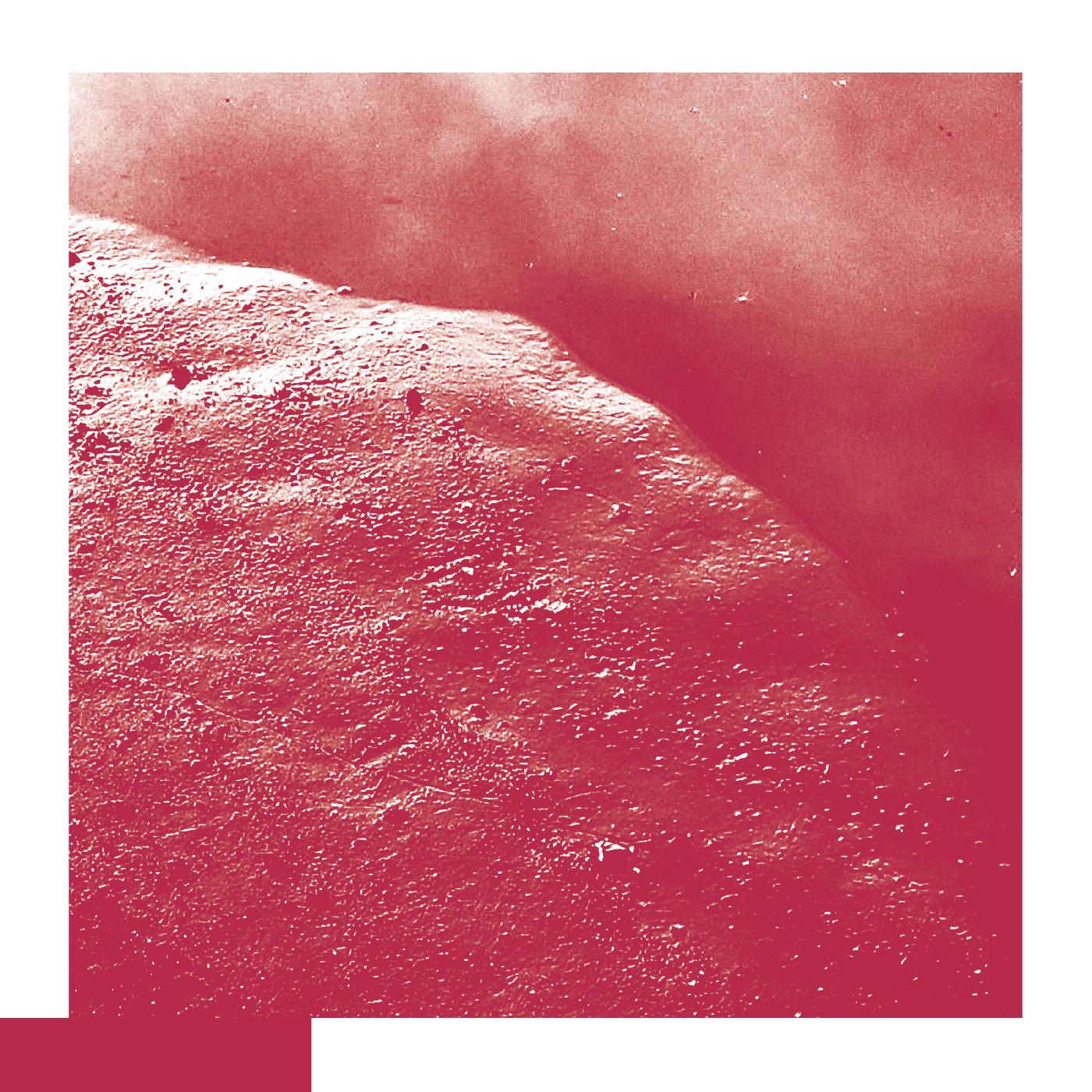 David Allred | The Cell | Vinyl