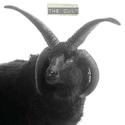 The Cult - The Cult | Vinyl