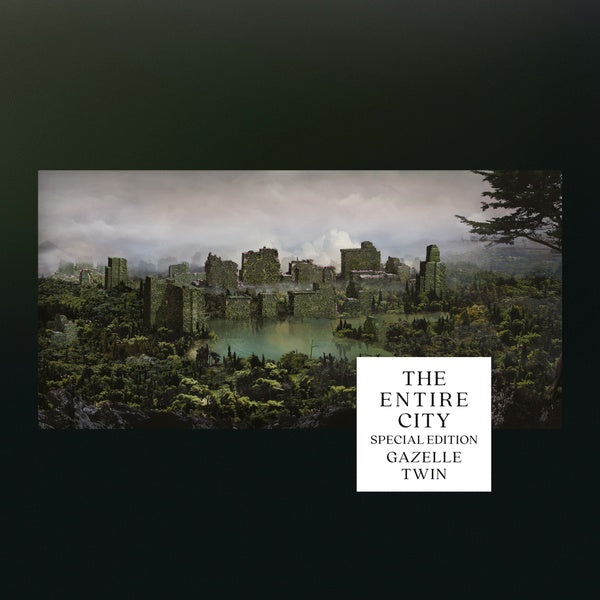 GAZELLE TWIN - The Entire City / The Wastelands | CD