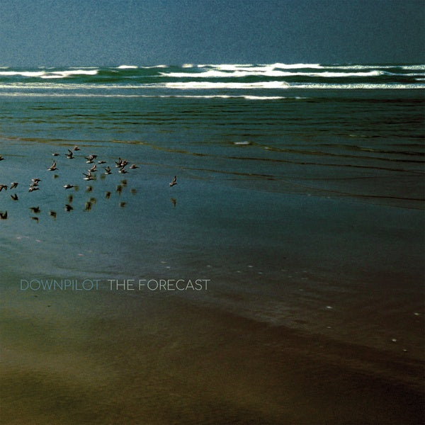 DOWNPILOT - The Forecast | Vinyl