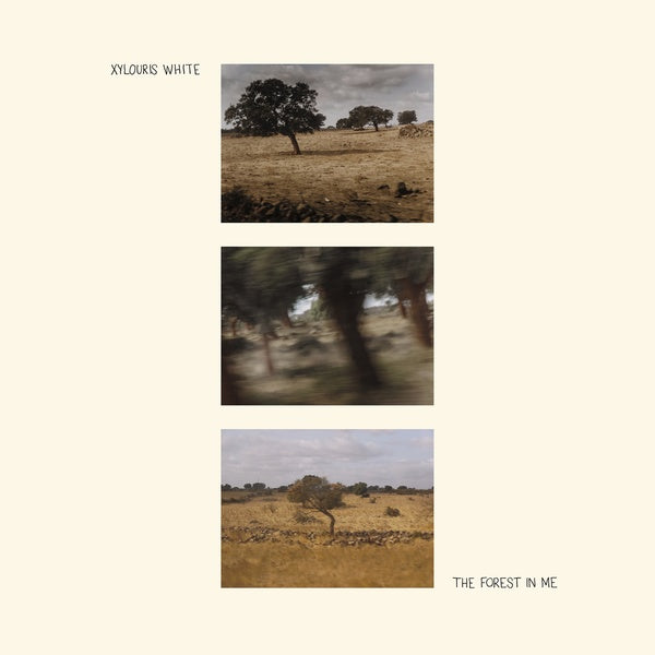 XYLOURIS WHITE - The Forest In Me | CD