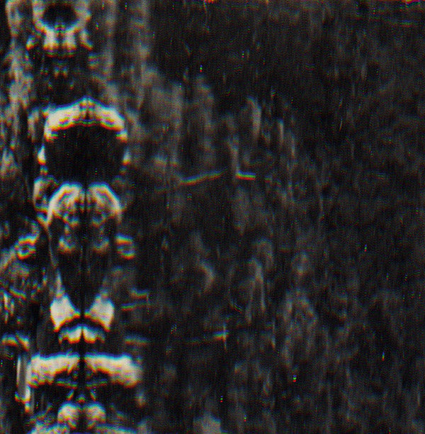 O MORTO - The Forest, The People And The Spirits | Vinyl