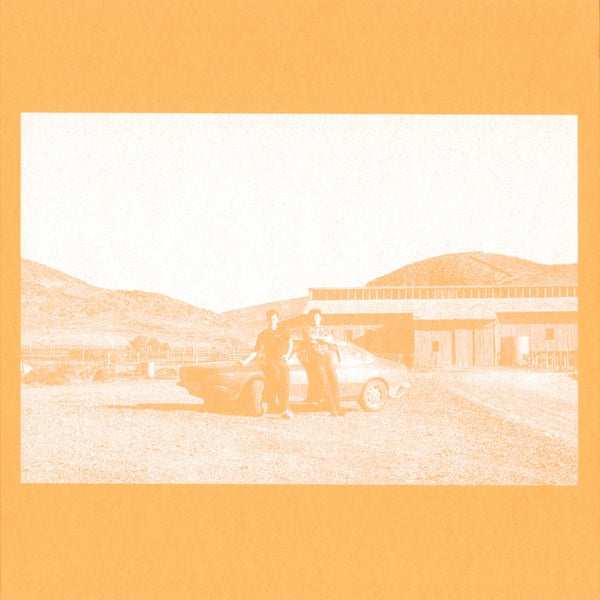 THE FRENZIED BRICKS - The Frenzied Bricks | Vinyl