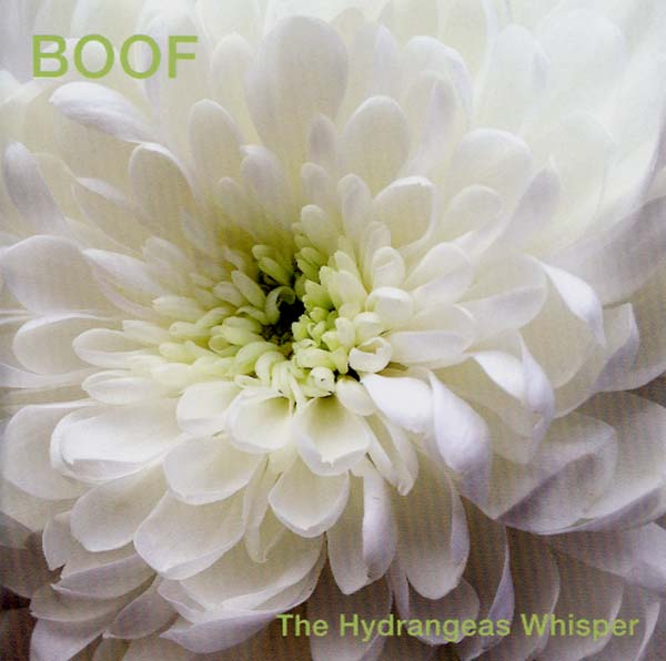 BOOF - The Hydrangeas Whisper | CD