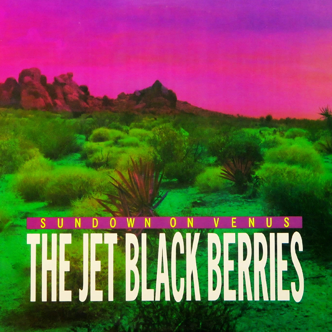 The Jet Black Berries - Sundown On Venus [Definitive Edition] | Vinyl