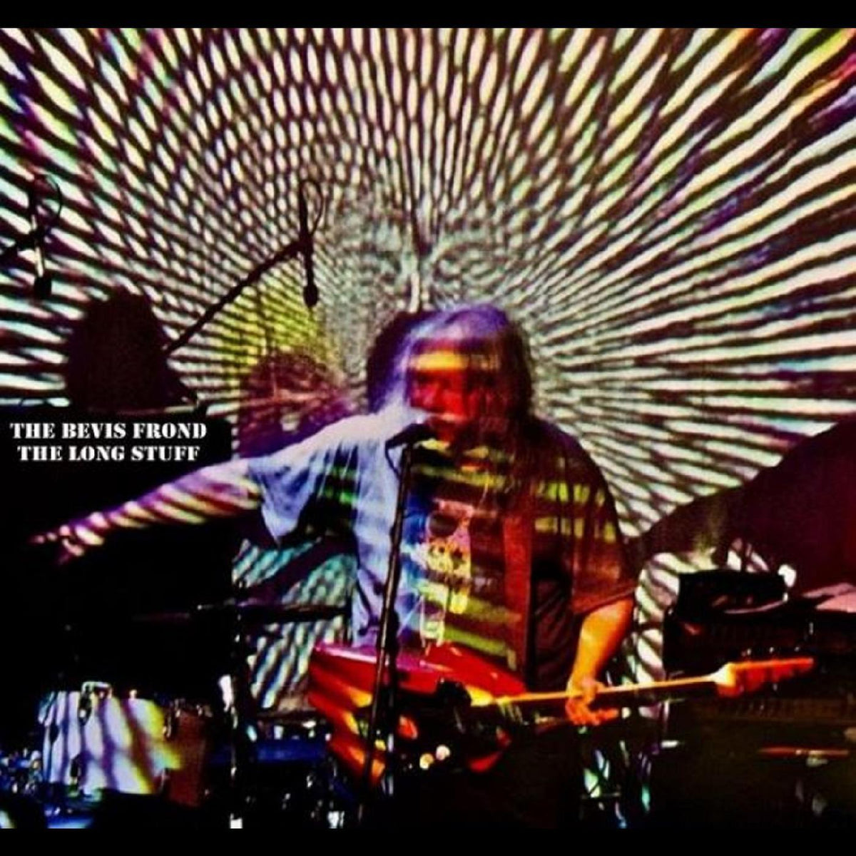 The Bevis Frond - The Long stuff | Vinyl
